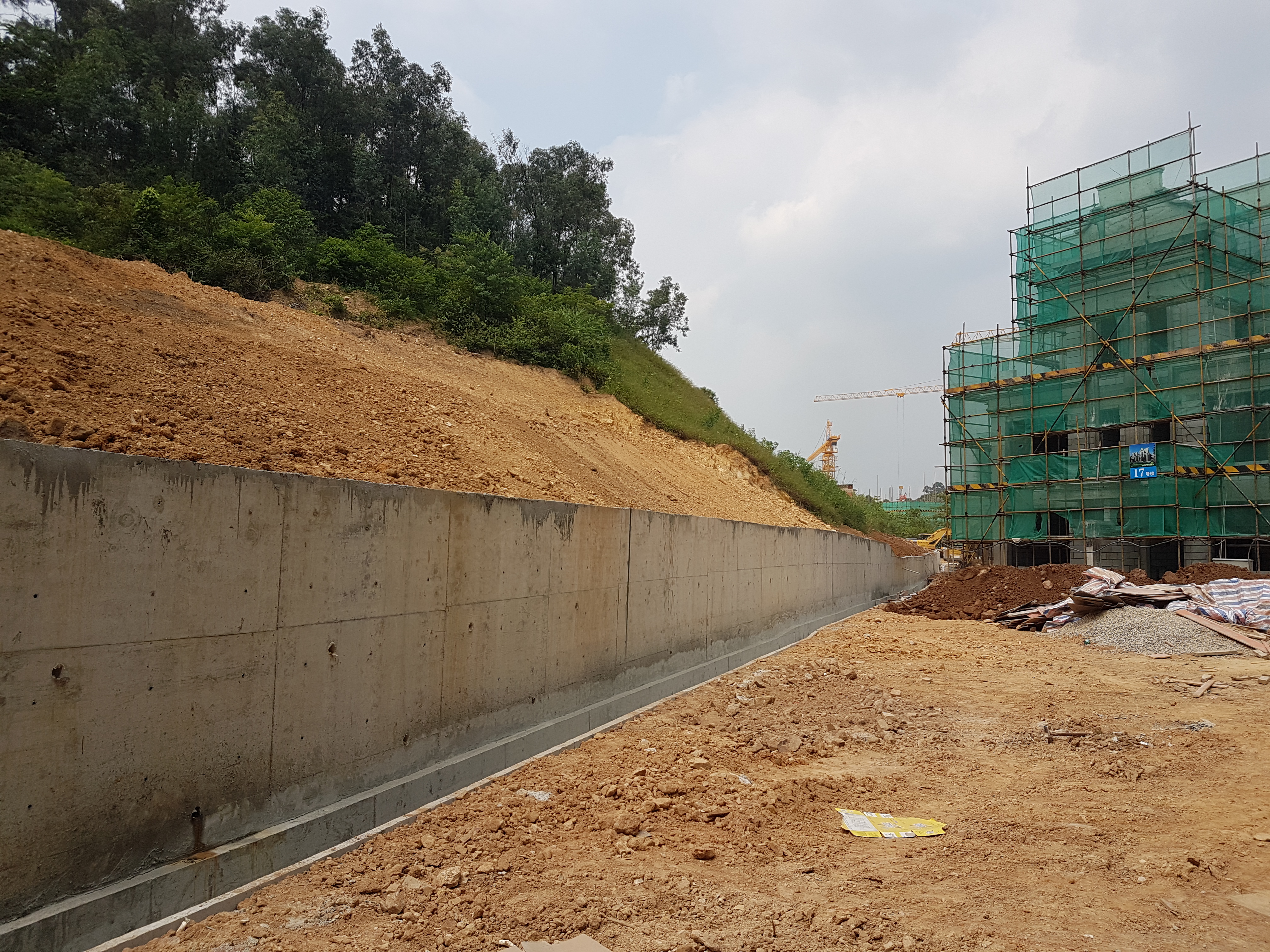 �|ݸ�S���������(xi��ng)Ŀ